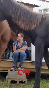 23K views · 52K reactions | Cavalo “abraça” mulher que estava se sentindo triste e encanta a web | Portal e TV CM7 Brasil | Facebook
