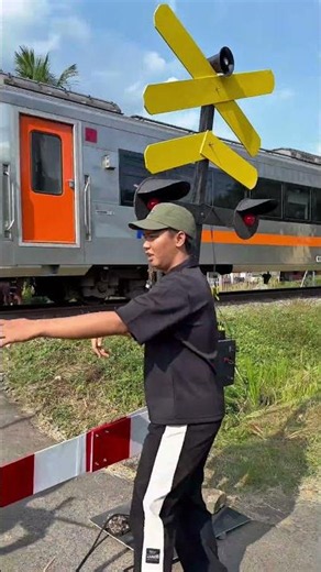 Large Gate Closes and Opens When Train Passes #railwaygate