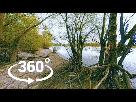 Insta360 ONE RS - VR 360 video test footage