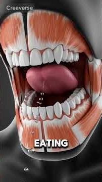 Digestive Problems Explained in 2 Minutes | Fix Your Digestion Naturally | Medical 3D Explained