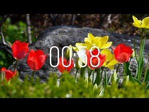58 Second Timer with Music | Spring Timer🌹