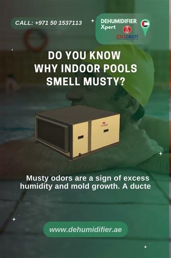 Why Indoor Pools Develop Musty Smell and How to Fix It? #dehumidifier #swimmingpooldehumidifier