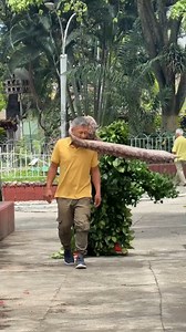 the funny plant 🌵😂😱 | El indio