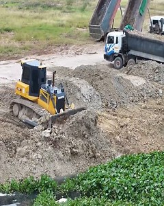 Good Performance!!! Fast Shantui Bulldozer Pushing Soil Build a Road Across The Mud With 25T Dump Trucks | Bulldozer City