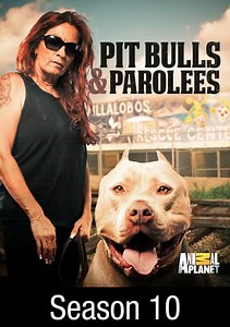 Pit Bulls and Parolees: Rising Tide