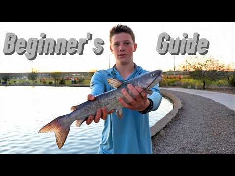 How To Catch Fish In Public Ponds