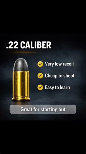 Best Beginner Caliber?