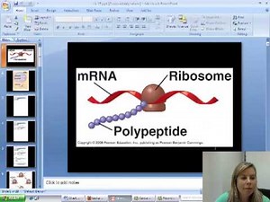 BIO 111 Chapter 17 Part I