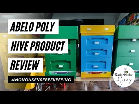 Abelo Poly Hive Review – What’s the Best Beehive for UK Beekeepers?