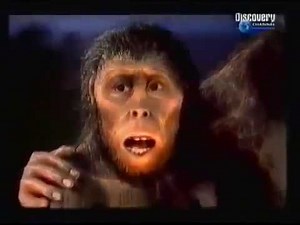 Evolution Of Man Documentary Channel - Evolution The origin from apes to human