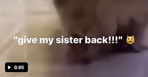 Pixel 1 and pixel 2 enters. - Video