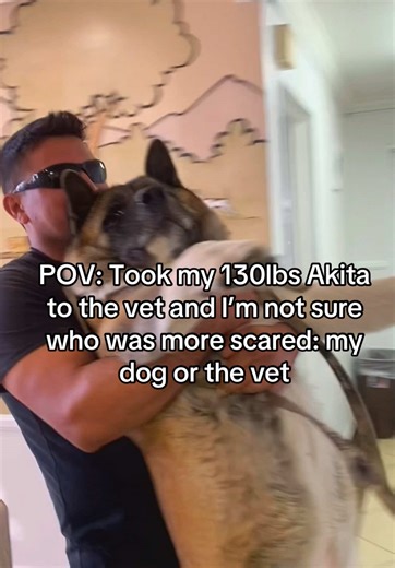 Hilarious Vet Visit: Akita's Adorable Reaction