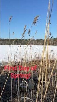 First Day of Spring