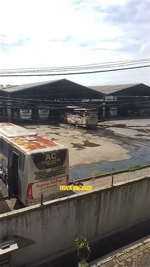 Washing bus #bus #busmania #shorts #truckvaganza #truckmania