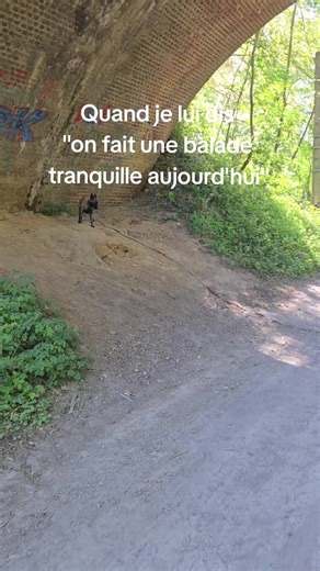 Souvent on fait pas la balade que j'imaginais avant de démarrer 🤣 mais son kiff avant tout !! #dog #humour #bergerbelge #tervuerenshepherd #mignon