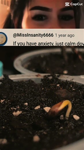 If your homeless just buy a house song #homeless #song #house #buyahouse