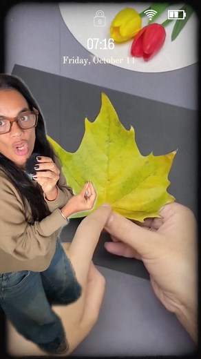 Como hacer animalitos con hojas de arboles | seguime.ahora