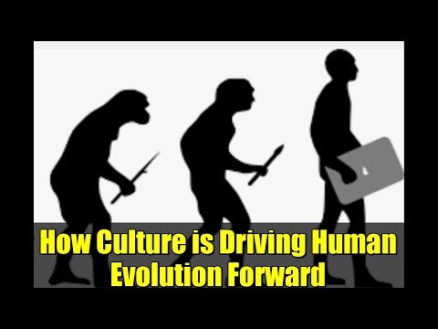 How Culture is Driving Human Evolution Forward