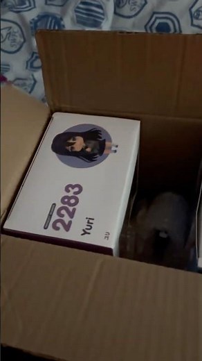 Yuri and Sayori Nendoroid Unboxing 📦 | + Sayori plush | DDLC #ddlc #ddlcsayori #ddlcyuri #unboxing