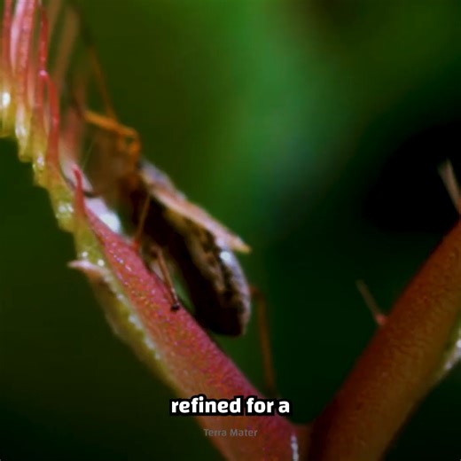 15K views · 192 reactions | Thankfully it does not eat people! | Crazy Creatures | Facebook