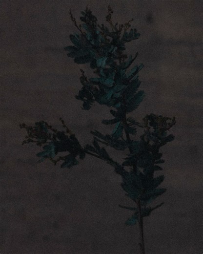 13 reactions | adidas Running on Reels | Facebook