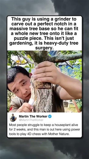 THE FINAL BOSS OF GARDENING