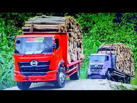 excavator, karin gari, dojar gadi, jac truck, diy tractor, mini bus, mini car | Nov 29 20258:09 AM