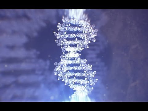 The Phoenix Protocol | Reversing Biological Time