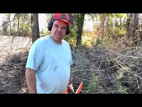 The Husqvarna and Stihl Light Sabers - Husqvarna 335xpt and Stihl 023