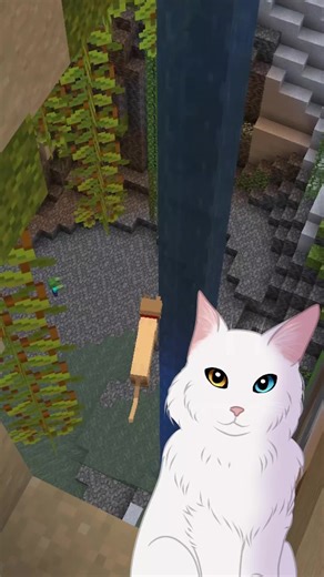 What if you could play Minecraft… as a CAT? Cat Civilization: Nine Lives A Minecraft server where YOU are the cat! 🐾 Roleplay with friends 🐾 Complete quests 🐾 Build your own cat kingdom 🐾 Live all 9 lives 🎮 Join now: Java: novavoid.net Bedrock: mc.novavoid.net port: 19132 #minecraft #minecraftserver #catcivilization #cats #catsoftiktok \u000b Morning Routine by Ghostrifter bit.ly/ghostrifter-sc Creative Commons — Attribution-NoDerivs 3.0 Unported — CC BY-ND 3.0 Free Download: hypeddit.com/t