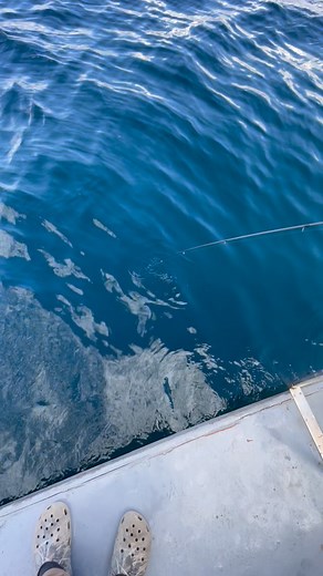 2.2K views · 42 reactions | Natilus & Atlantis on Reels | Facebook