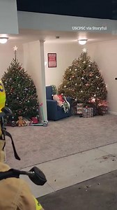 1.9M views · 3.5K reactions | This is why you need to water your Christmas tree  | The Sun | Facebook