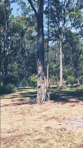 DJI Mini 5 Pro Livestream made with #ecamm Music By Stephen Ewart #djimini5pro