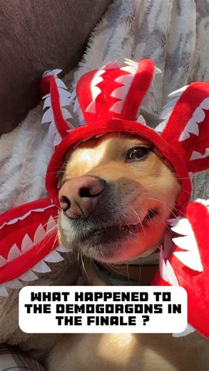 André Santos 🫀 on Instagram: "Where did all the Demogorgons go in Stranger Things Finale? Easy explained ! Partying and being cute #stangerthings #seasonfinale"