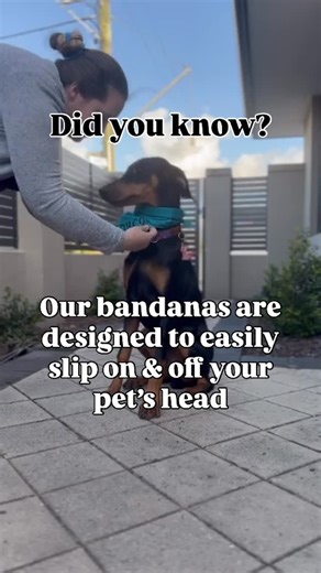 Byron & Co - Enhancing your dogs looks & life 🌟 on Instagram: "Easy as that! ✅ Quality bandanas with ease of use AND they look great 😍 Do you like this feature of our bandanas? 💬 #dogbandanas #custombandana #bandanasfordogs"