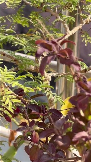 Testing 123, 1235 4 Gayab hai 😂😂 #music #dj #electronicmusic #housemusic #deephousemusic