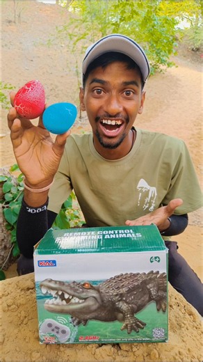 A crocodile was also found along with the snake eggs. #shorts #viral #trending #video