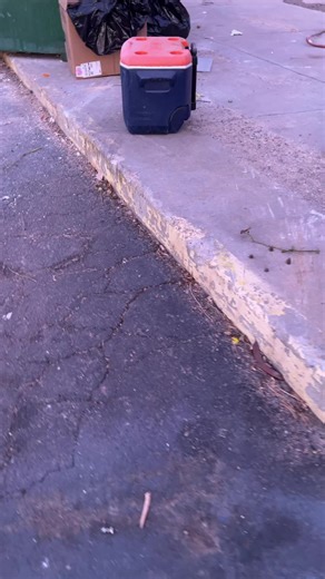 Unwanted Cooler Disposal in NFL Broncos Sports Scene