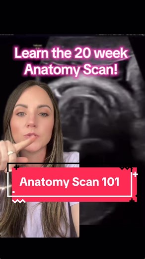 Understanding the Anatomy Scan: Key Insights