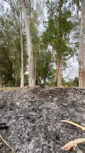 Cinematic down short video #viral