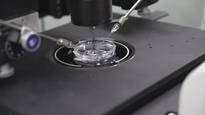 Scientists claim first genetically edited babies