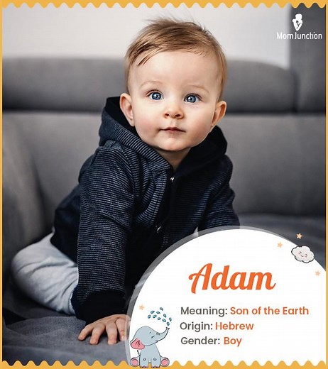 Adam Name Meaning: Origin, History, Variations & Popularity