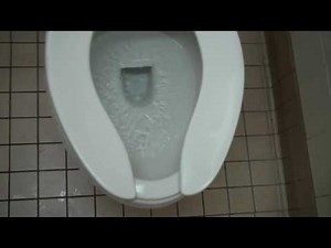 Proflo and Zurn Fixtures at Walmart