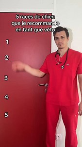 112K views · 33K reactions | 5 races de chien que je recommande #vet...