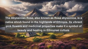 Discover the Flora of Ethiopia: Top 10 Native Plants You Need to Know