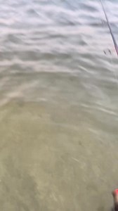 41K views | Fishbrain’s map feature is a game-changer. I can find shore-accessible spots and check recent catches, making every trip more productive. | Fishbrain | Facebook