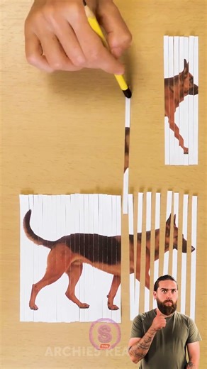 เมื่อความจริงกลายเป็นเวทมนตร์! ✨🔮