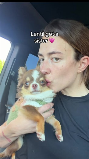 welcome to the family @Drew 🐾 | family tiktok