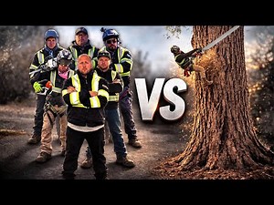 Can 7 Tree Pros Take Down This COLOSSAL Cottonwood?