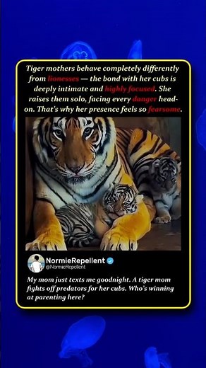 Why a Tiger Mother Is More Intimidating Than a Lioness 🐯 #Nature #Wildlife #BigCats